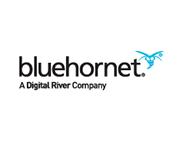 BlueHornet