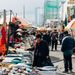 fish, market, sale, nature, port, marketplace, animal market, food, retail, market stall, farmers local market