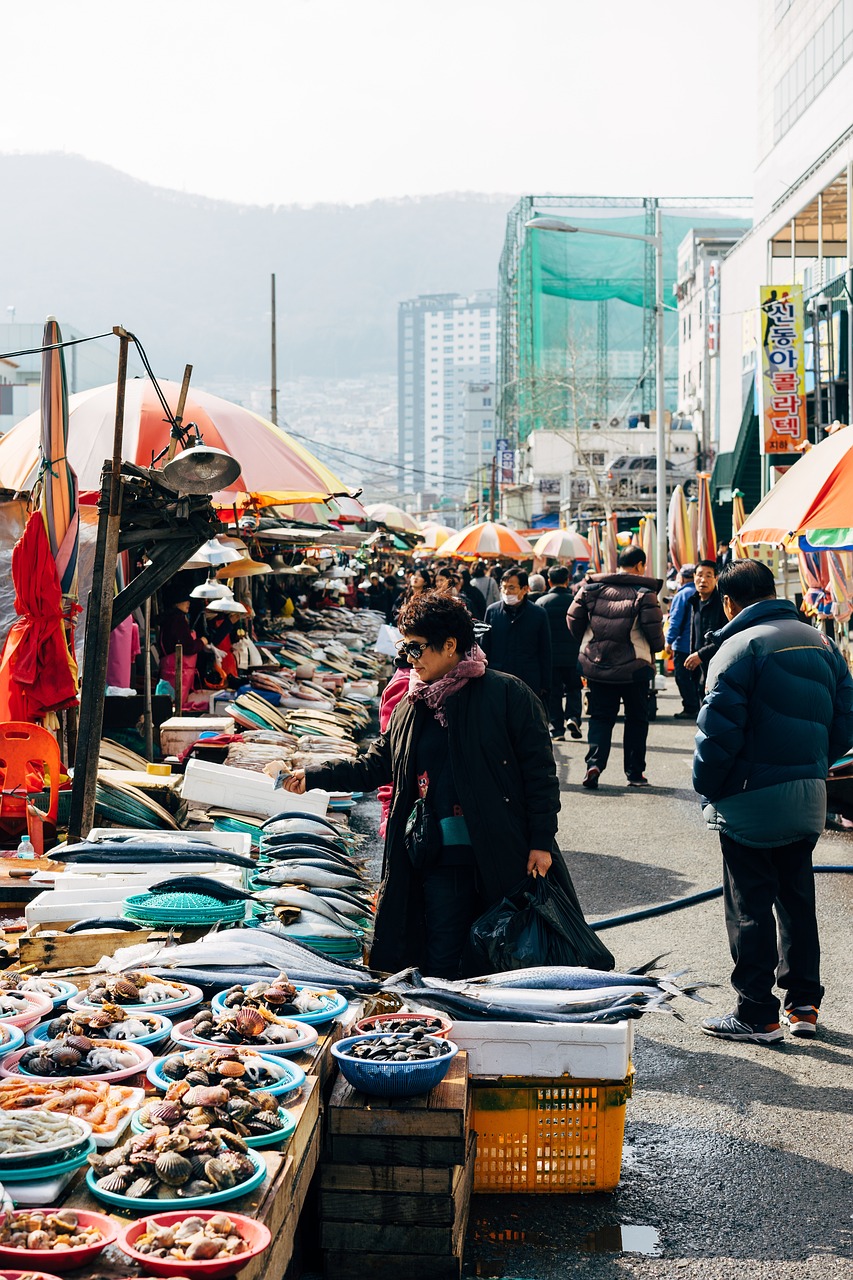 fish, market, sale, nature, port, marketplace, animal market, food, retail, market stall, farmers local market
